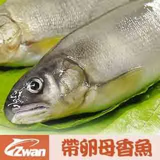 【日丸水產】嚴選鮮嫩正小白鯧魚6尾(420g±10%/包) 歷史價格詳細信息