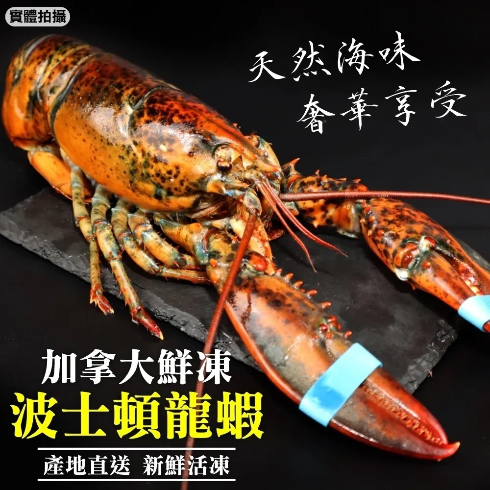 【滿777免運-海肉管家】加拿大生食級甜蝦仁(1包_200g/約55-65尾/包) 歷史價格詳細信息