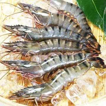 鮮凍特選魷魚圈1包(150g±10%) 歷史價格詳細信息