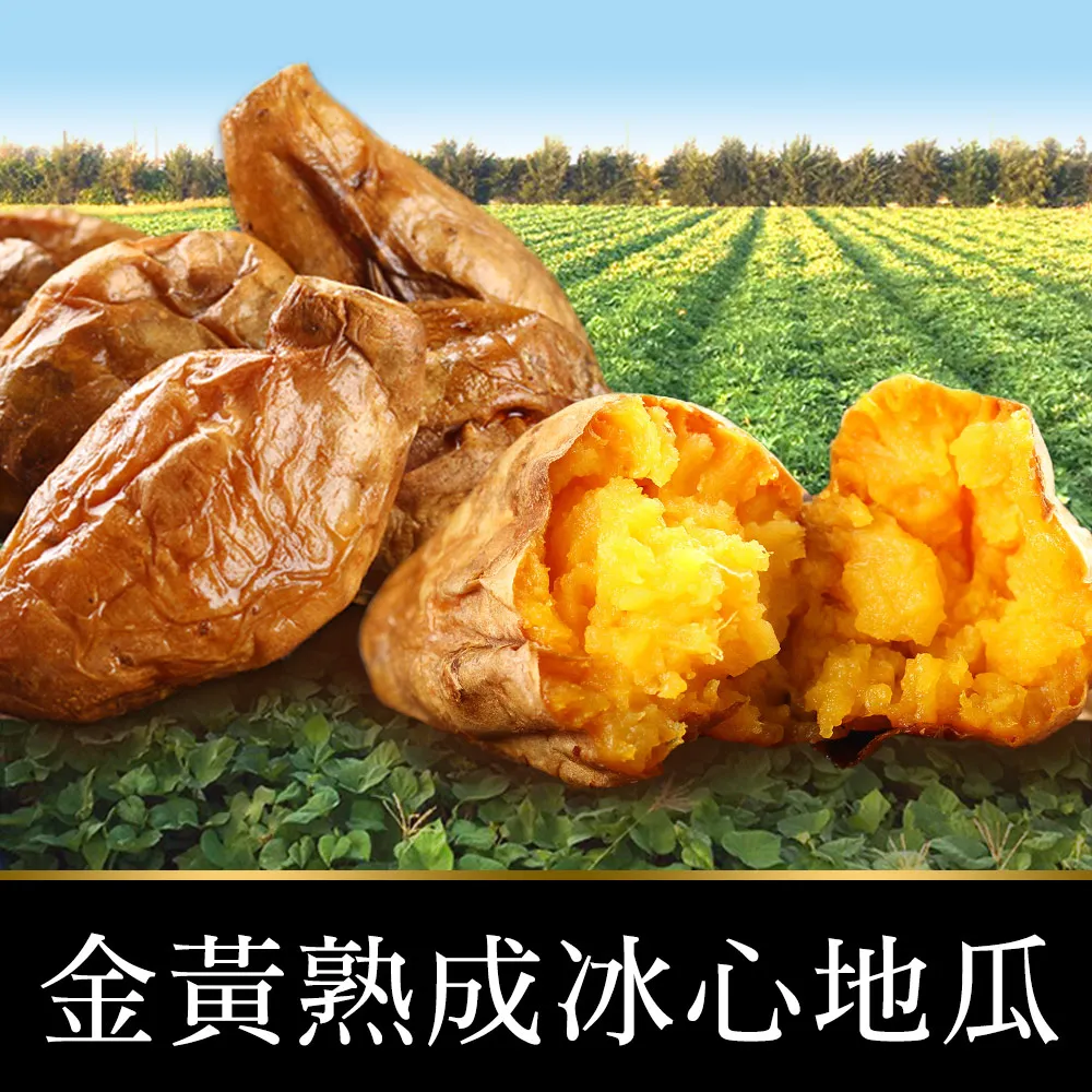 金黃熟成冰心地瓜1包(250g±10%/包) 價格比較,價格查詢,歷史價格詳細信息