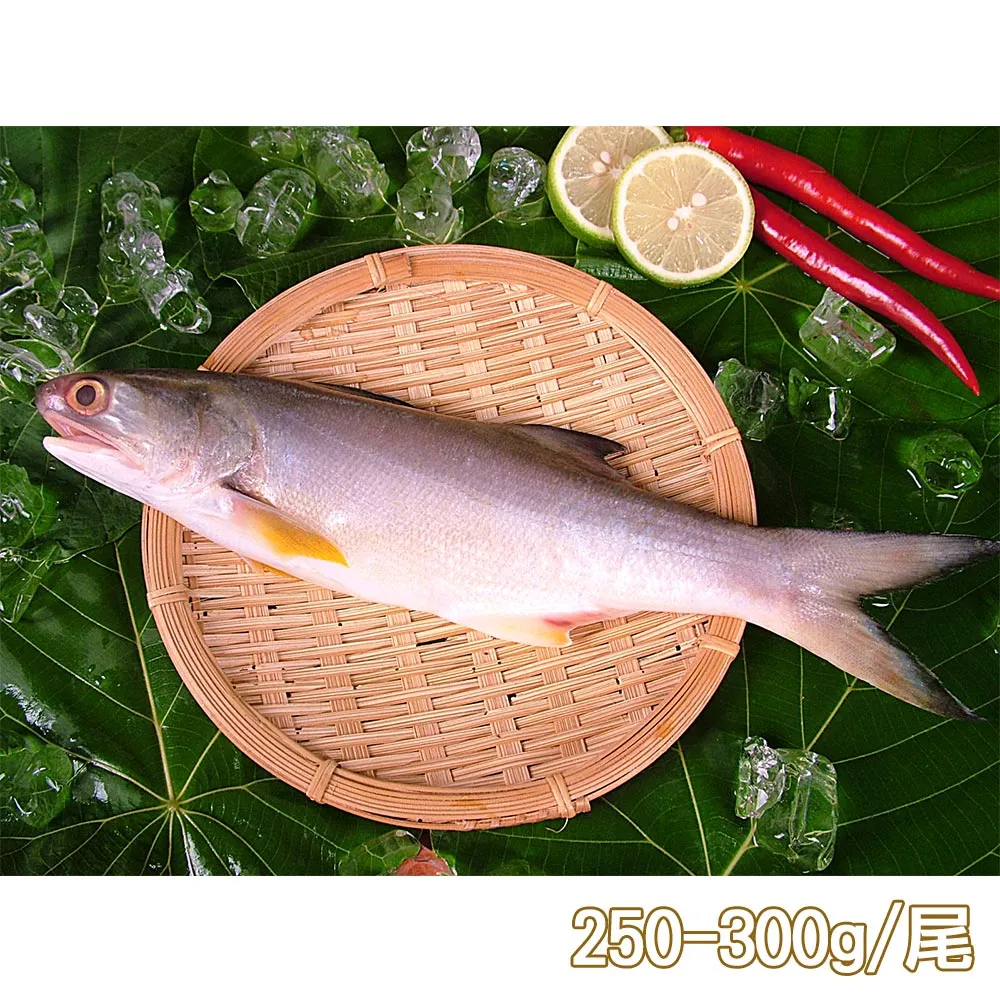 【新鮮市集】人氣原味午仔魚2尾(250-300g/尾) 歷史價格詳細信息