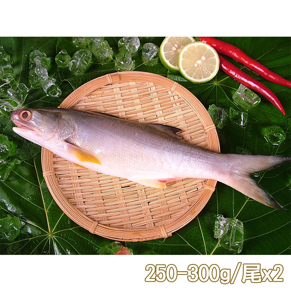 【新鮮市集】人氣原味午仔魚2尾(250-300g/尾) 歷史價格詳細信息