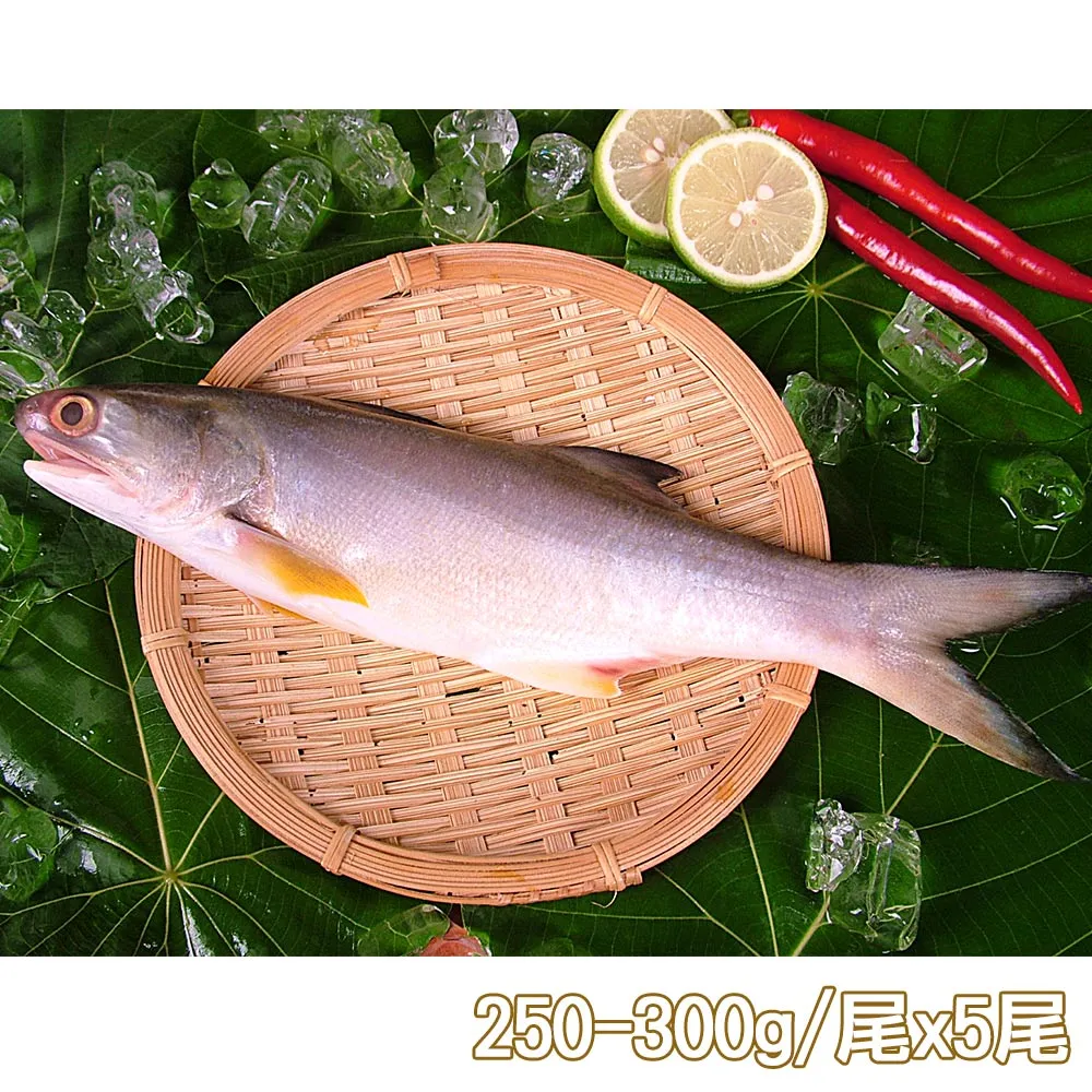 【新鮮市集】人氣原味午仔魚2尾(250-300g/尾) 歷史價格詳細信息