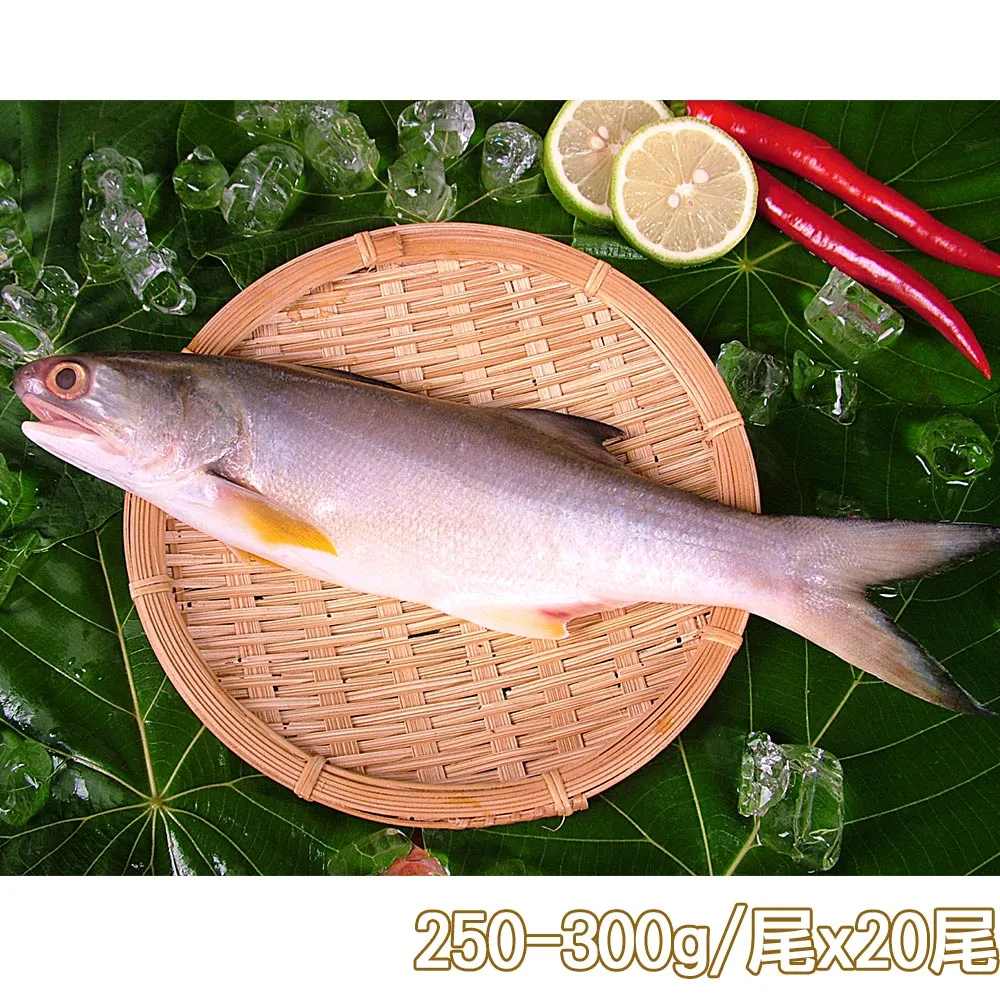 【新鮮市集】人氣原味午仔魚2尾(250-300g/尾) 歷史價格詳細信息