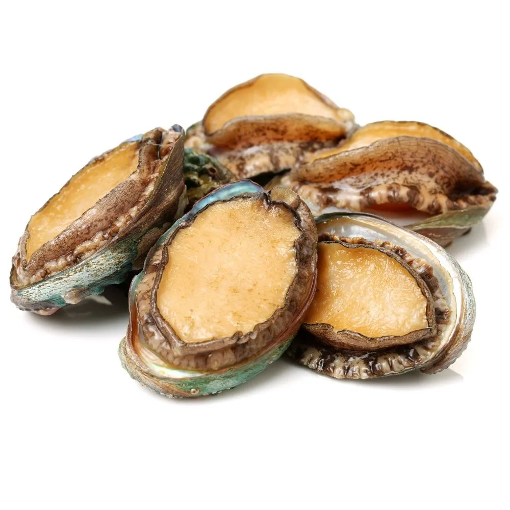 【RealShop 真食材本舖】日本岩見鮑魚 1kg/約24顆 x 2入組(共2kg約48顆) 歷史價格詳細信息