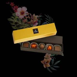 艾美黛秋雅獨家黑巧克力片 歷史價格詳細信息