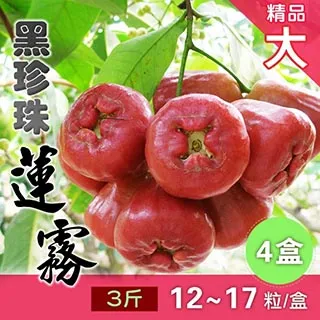 家購網嚴選 屏東紅肉火龍果5斤/盒 大(約7-8顆/盒) 歷史價格詳細信息