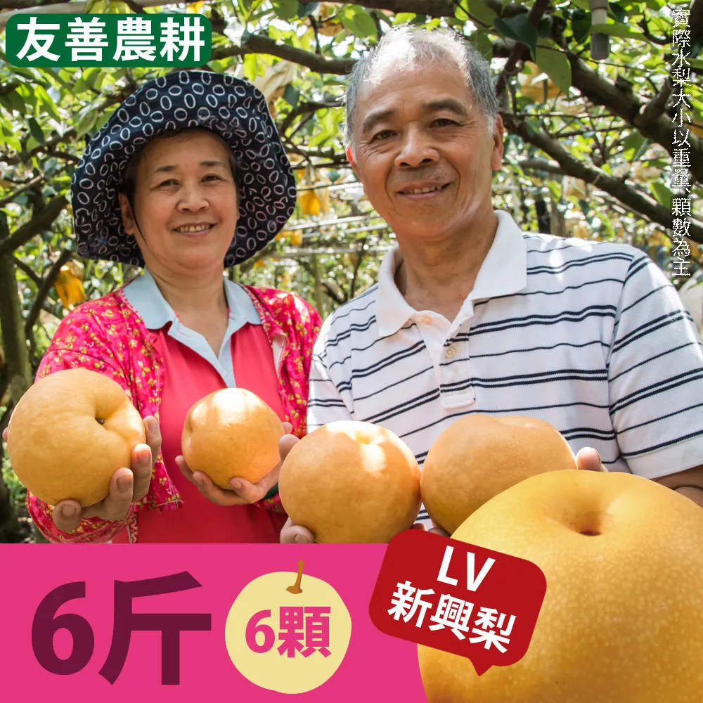 LV級茶道 泡茶鐵壺 台灣精品 大甲鐵壺鐵爐  黃天來大師. &amp;quot;三甲傳爐&amp;quot; 1997年得獎原作.. 歷史價格詳細信息