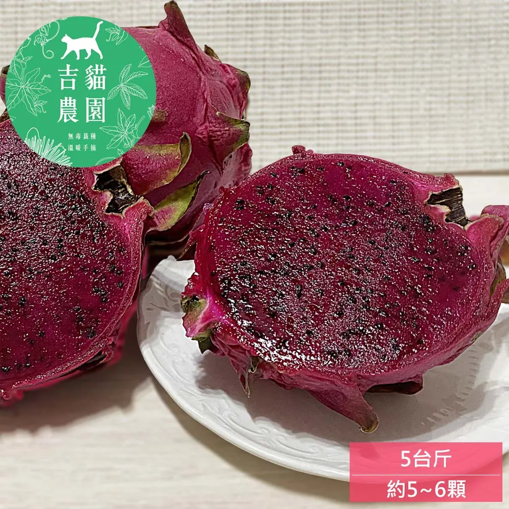 高雄內門紫竹寺 觀音 鑰匙圈 歷史價格詳細信息