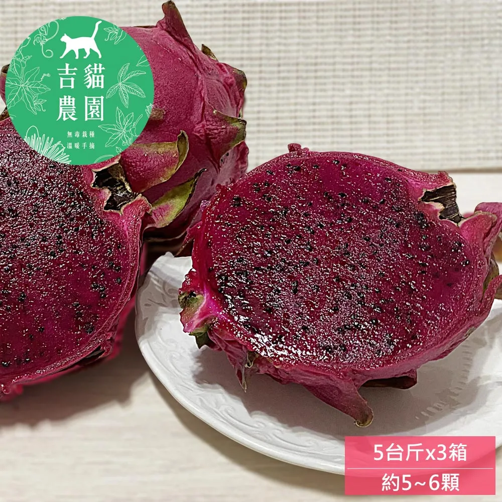 高雄內門紫竹寺 觀音 鑰匙圈 歷史價格詳細信息