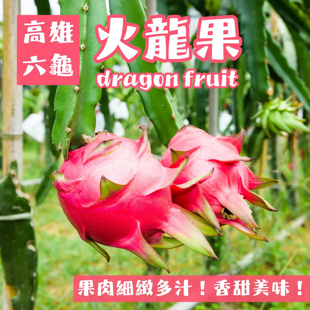 果園大開口電動修枝剪 無刷電動剪枝機 園藝園林加長高枝剪 歷史價格詳細信息