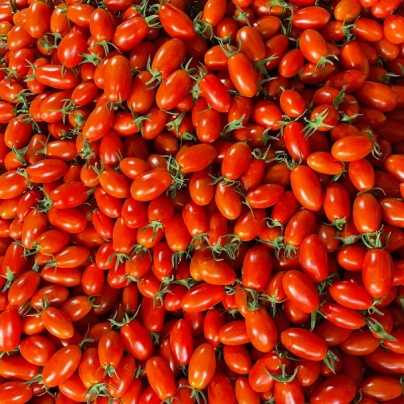 小田 長纖維清潔布 XT7338STM02 (兩盒) 歷史價格詳細信息