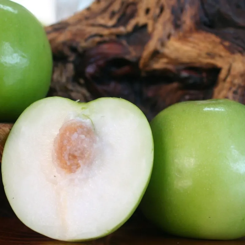 [棗樂子]檜木雪麗蜜棗(超大)5斤手提禮盒(4組)(含運) 歷史價格詳細信息