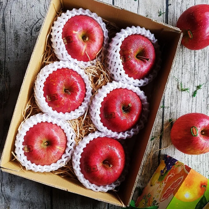 日出出版【6/19上市】Google地圖革命（二版）：從Google地圖、地球、街景到「精靈寶可夢GO」的科技傳奇內幕 大雁出版基地 歷史價格詳細信息