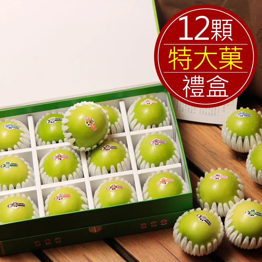 ????草莓菓子????Hand made 毛料格子水桶包~預購中 歷史價格詳細信息