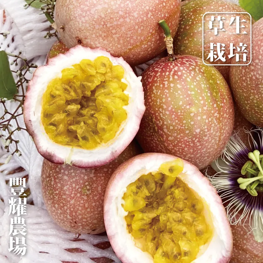 生產草坪清掃機 小型二衝程手提式汽油梳草機 人造草坪清掃機 歷史價格詳細信息