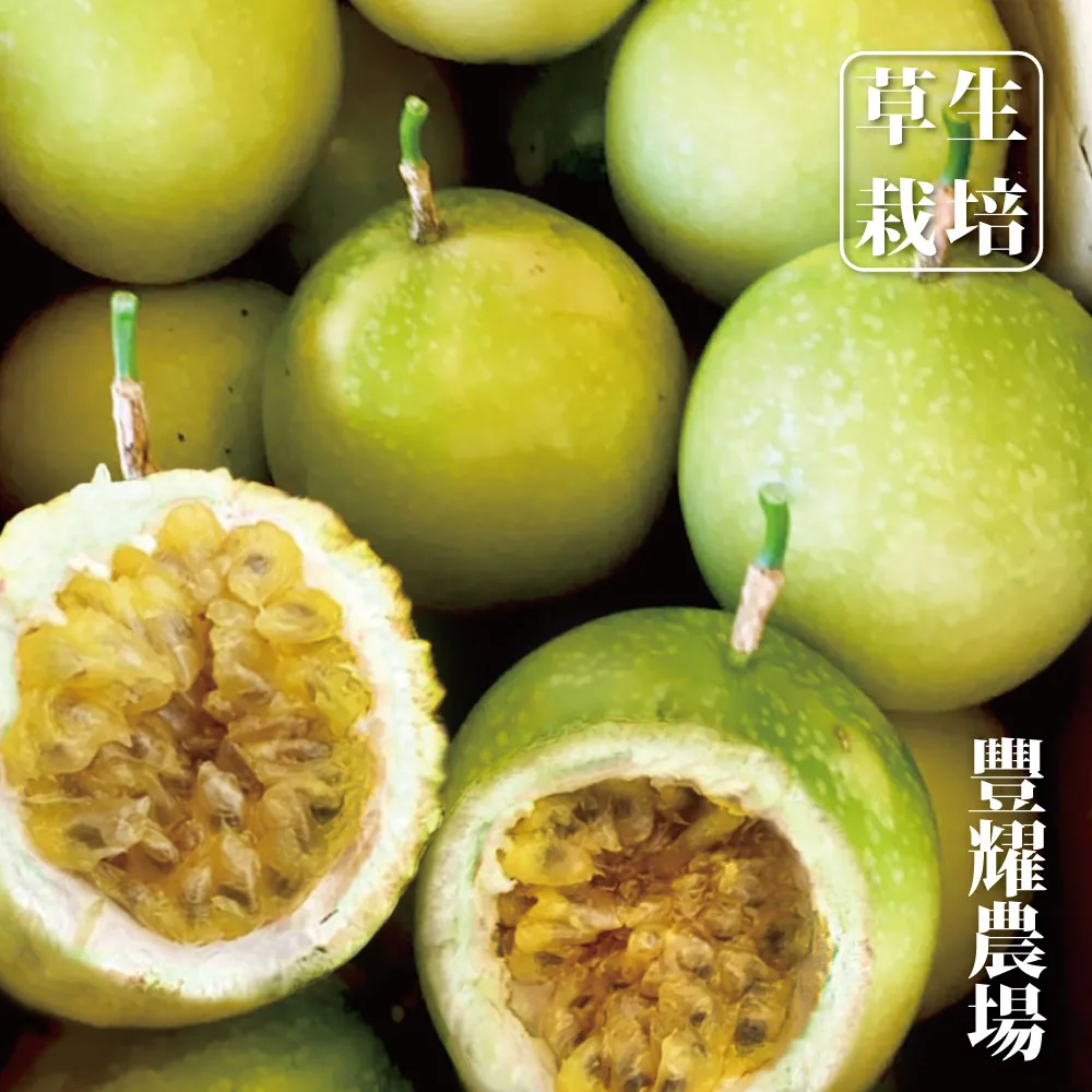 金彩十草系列-長型杯(白色) 歷史價格詳細信息