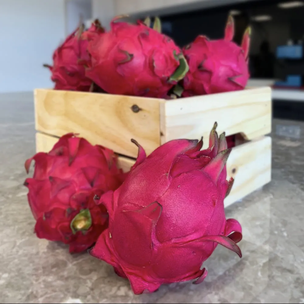 【舒果SoFresh】紅寶麝香金星禮盒(紅寶石櫻桃x1kg+韓國麝香x1串+日本金星蘋果x2顆/約2.2kg/禮盒) 歷史價格詳細信息