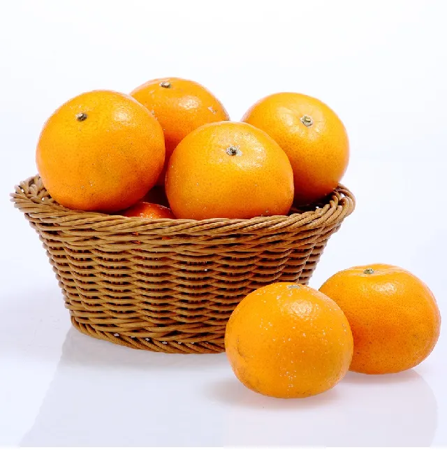 30A按鍵不鏽鋼快動雙觸點金屬按鈕開關 自復自鎖IP67控制開關帶燈 歷史價格詳細信息