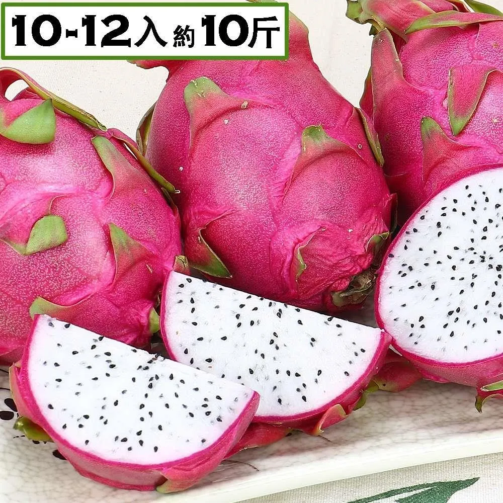 約10-12坪含安裝~冷專《586家電館》HERAN禾聯變頻吊隱分離式【HFC-NP56 /HO-NP56】 歷史價格詳細信息