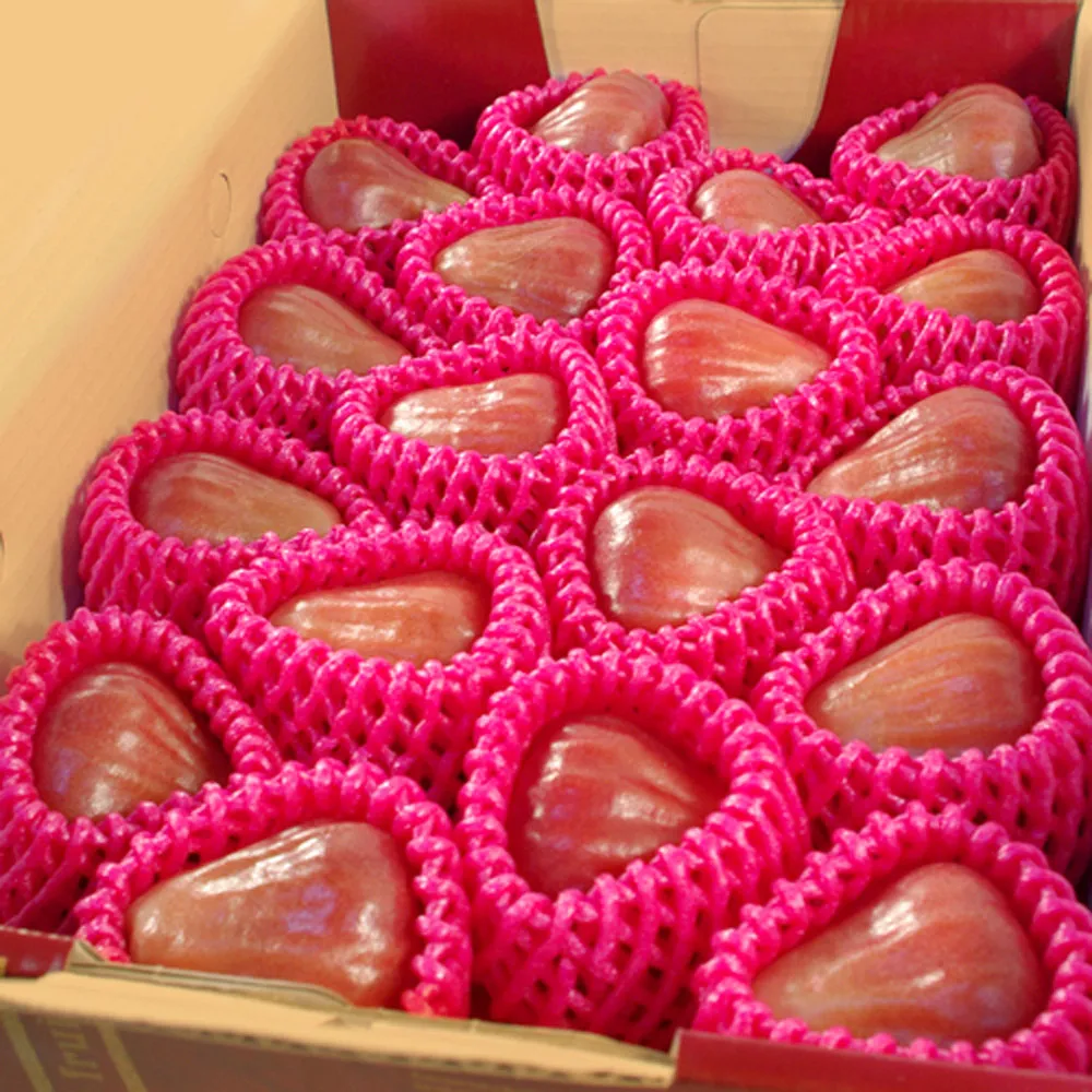 【鮮果日誌】蓮霧界的LV 黑糖芭比4台斤 歷史價格詳細信息