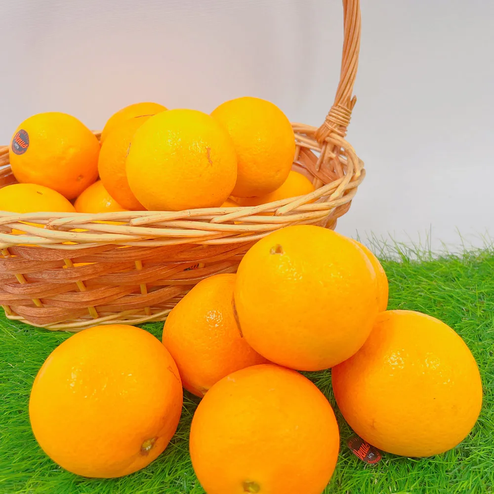 【舒果SoFresh】138s澳洲肚臍丁(12顆/1.4kg) 歷史價格詳細信息