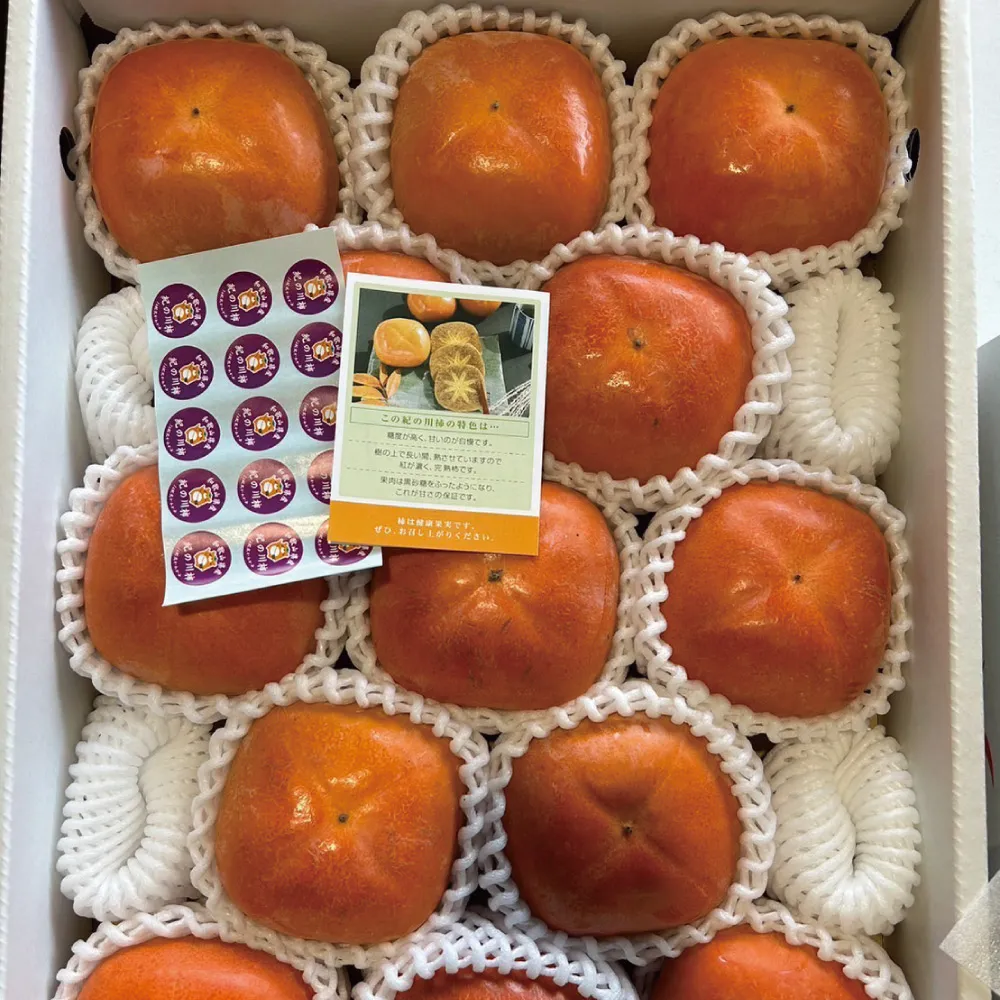 【舒果SoFresh】日本熊本/佐賀/福岡/長崎草莓2盤x1盒 (約500~550g/盒) 歷史價格詳細信息