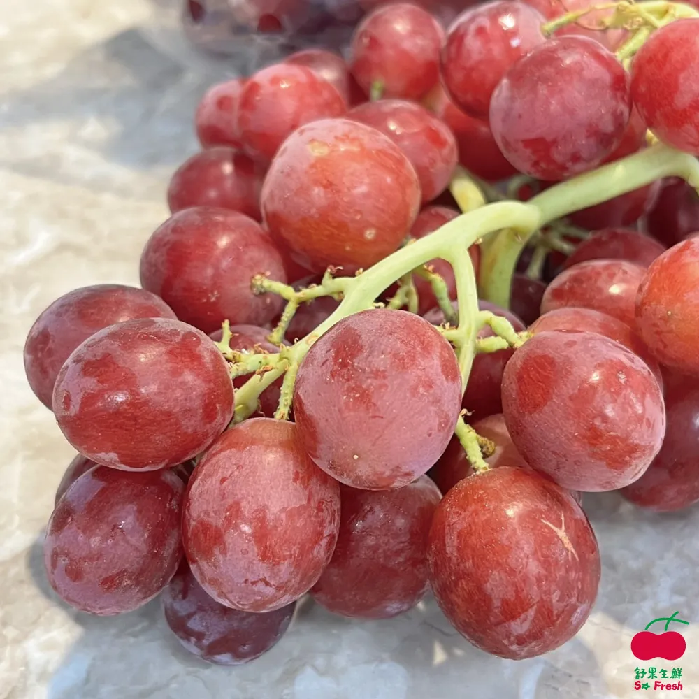 【舒果SoFresh】紅寶麝香金星禮盒(紅寶石櫻桃x1kg+韓國麝香x1串+日本金星蘋果x2顆/約2.2kg/禮盒) 歷史價格詳細信息