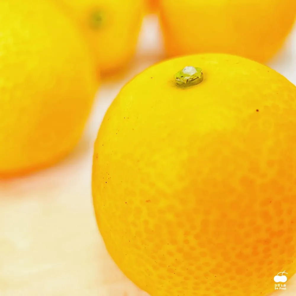 金柑心 來做麭 五南文化廣場 政府出版品 歷史價格詳細信息