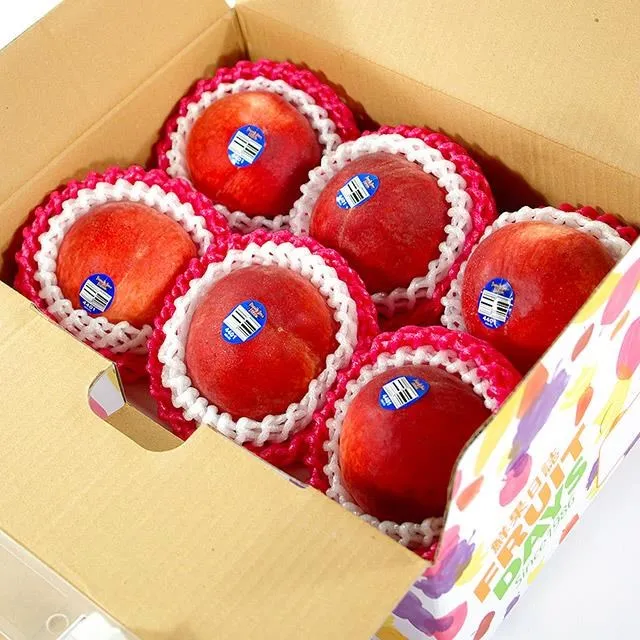 【光合果物】美國空運進口奶油酪梨 48顆原裝箱(48顆/箱) 歷史價格詳細信息