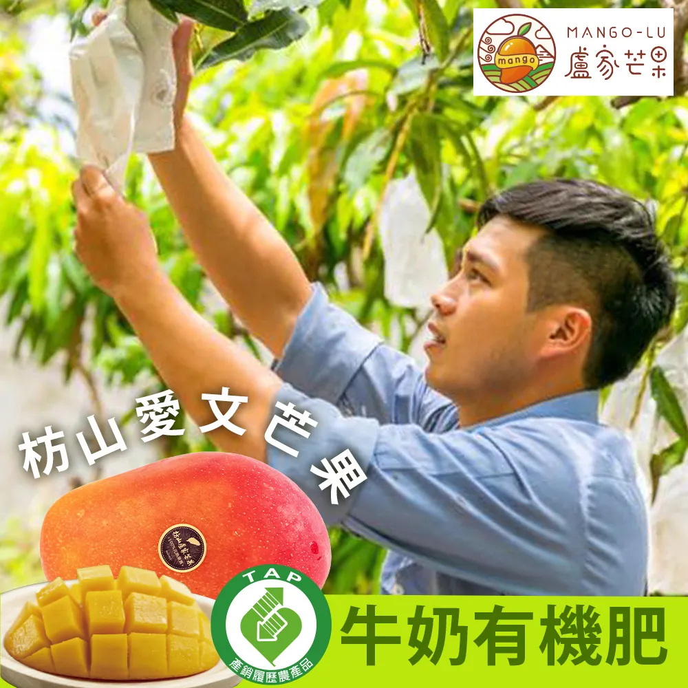 芒果家mangohome復古方頭高跟鞋女夏季2023年新款時尚氣質配裙子粗跟法式瑪麗珍鞋 歷史價格詳細信息