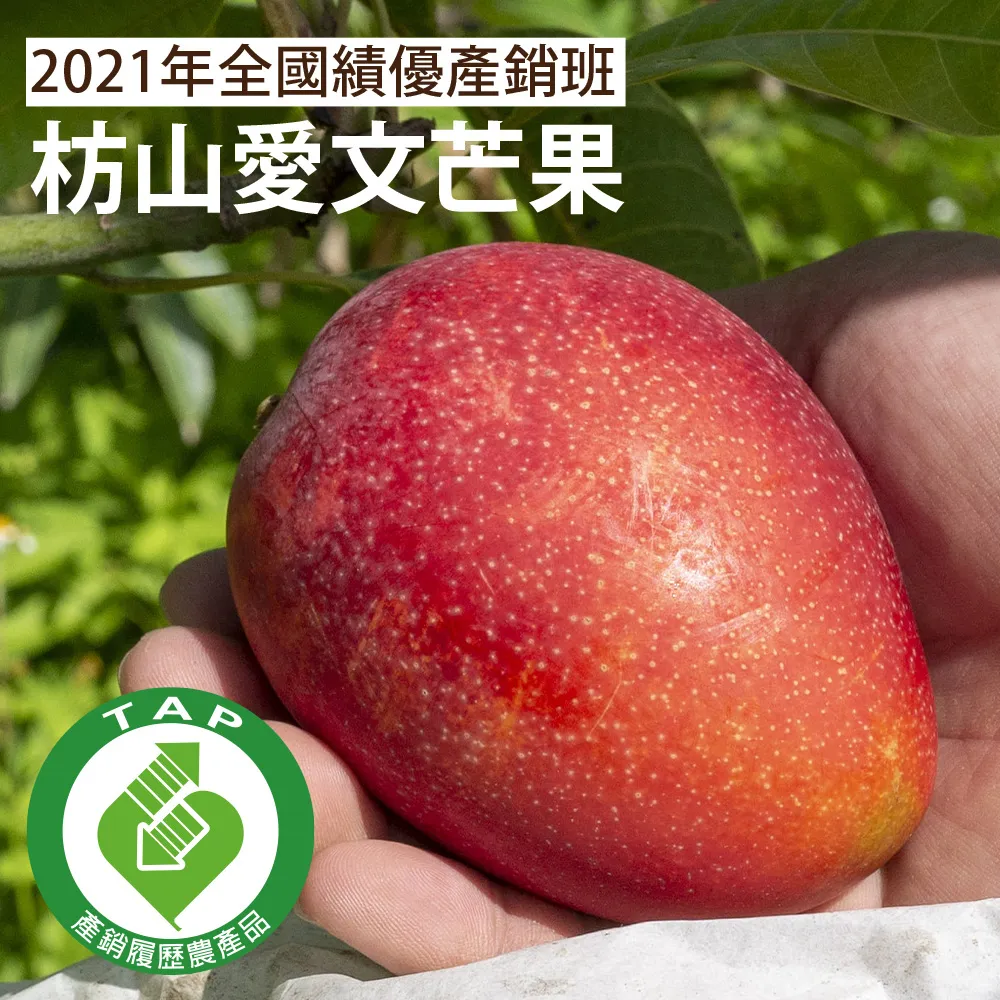 芒果家mangohome復古方頭高跟鞋女夏季2023年新款時尚氣質配裙子粗跟法式瑪麗珍鞋 歷史價格詳細信息