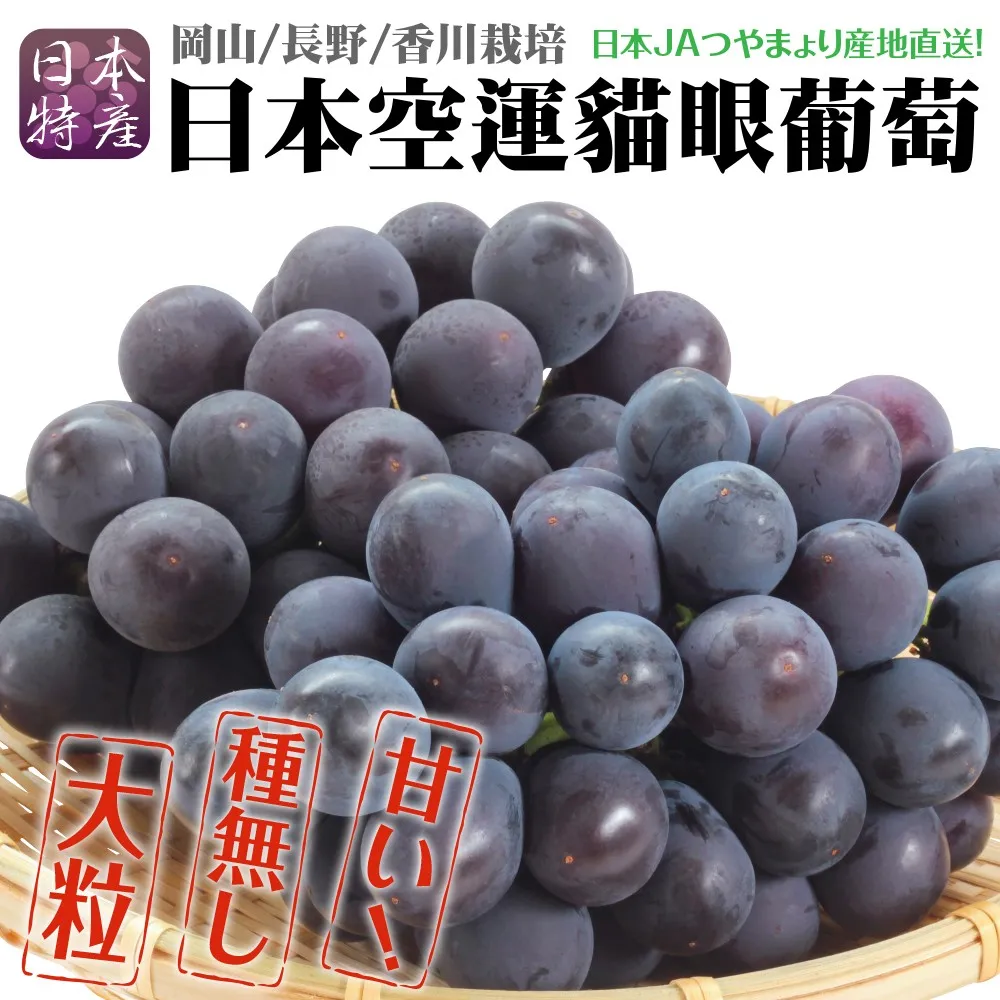 貓眼 原木風侘寂復古衛生間瓷磚 日式浴室地磚魚骨木紋磚廁所墻磚-特價促銷 歷史價格詳細信息