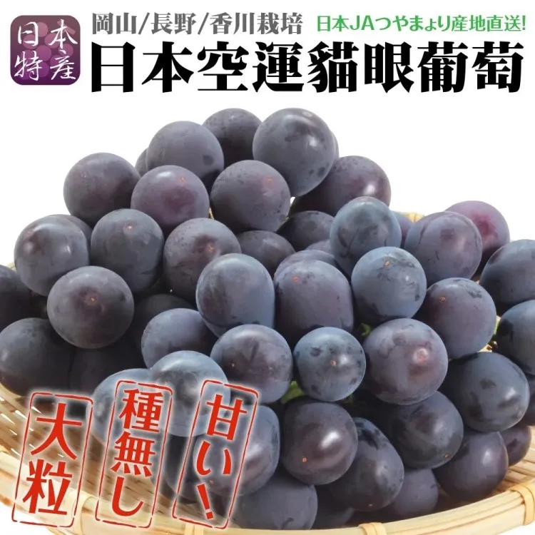 【WANG蔬果】日本空運貓眼葡萄(2串禮盒_700g/串) 歷史價格詳細信息