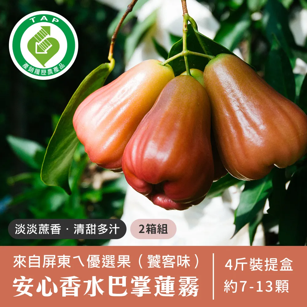 【清香甘甜】成就希望工程 紅刺蔥茶25g 台東刺蔥 農為本 食茱萸 自然耕種 友善大地 不含咖啡因 新鮮嫩葉製茶 歷史價格詳細信息