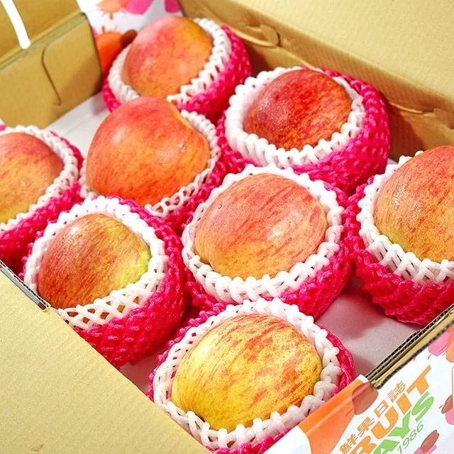 日本富士智能足 機全自動足底穴位腳步腿部腳部家 腳底按摩器儀 歷史價格詳細信息