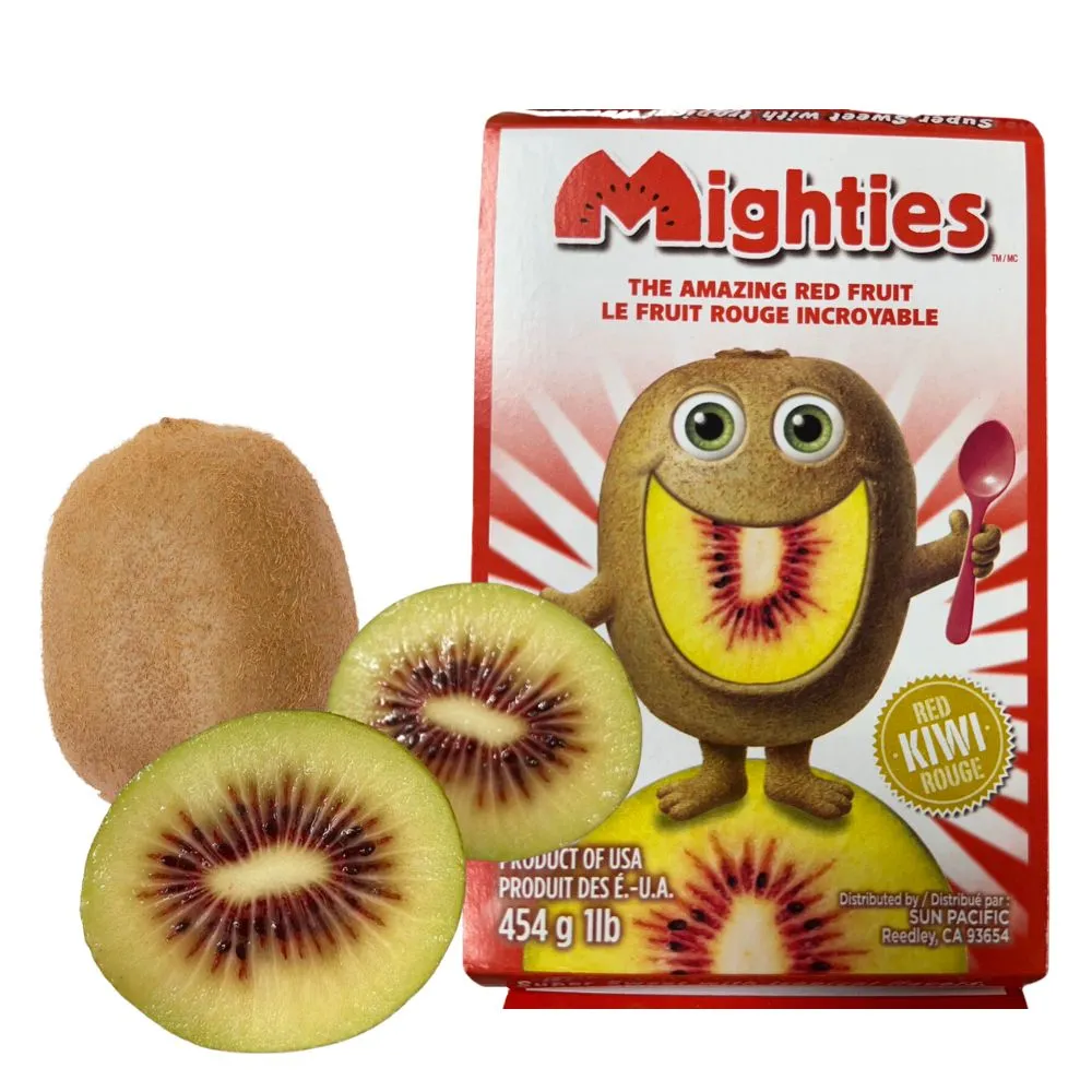 奇幻異空1 雙日之界 俠盜 自有書 二手書 奇幻小說 歷史價格詳細信息