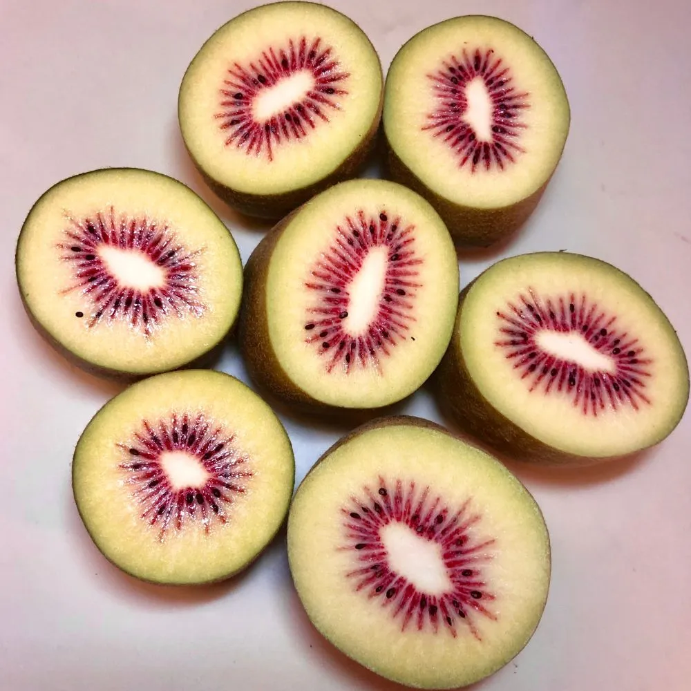 約3/10斤裝通用葡萄包裝禮品盒空盒陽光玫瑰馬奶巨峰葡萄包裝箱子~宅配訂單請諮詢 歷史價格詳細信息