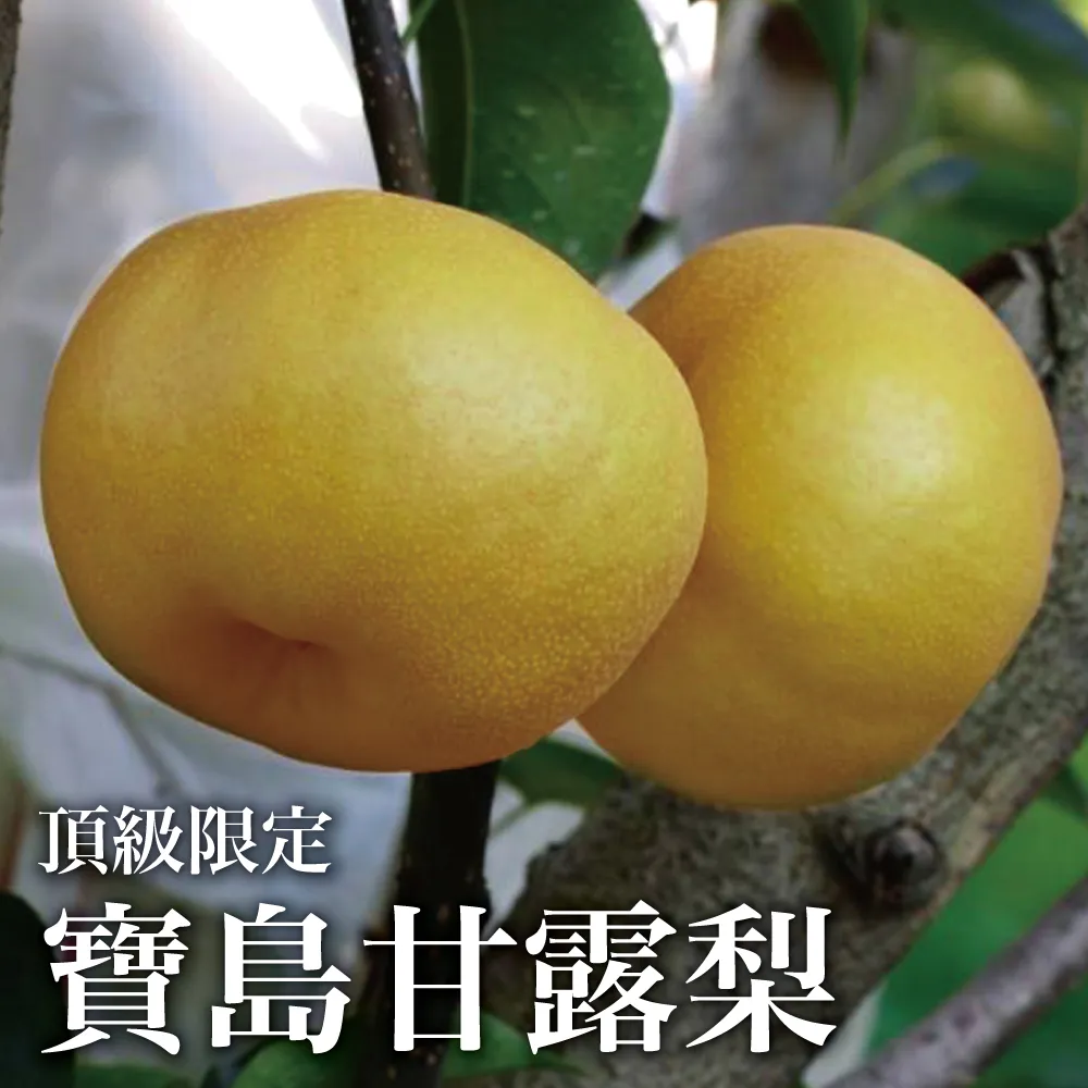 【十翼饌選果】豐耀農場 滿天星百香果5台斤x1箱(網室栽種/草生栽培/產地直送) 歷史價格詳細信息