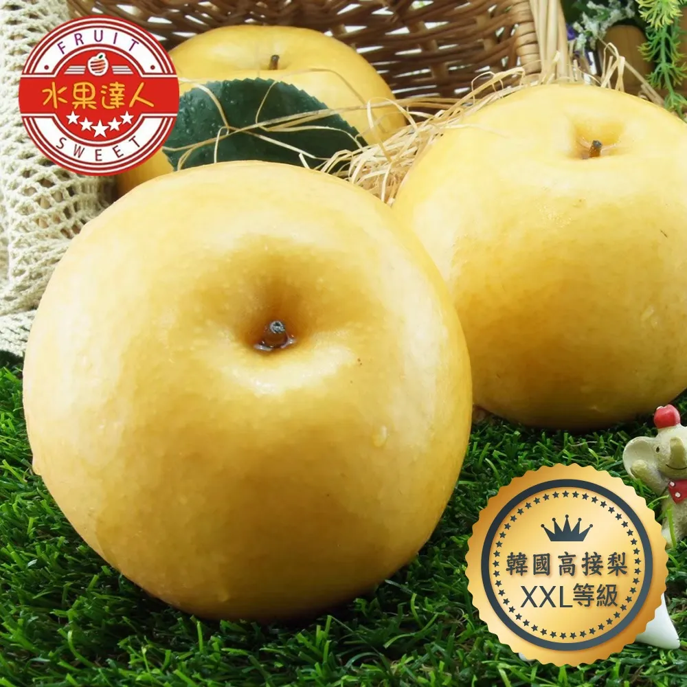 高接梨栽培管理手冊 五南文化 政府出版品 歷史價格詳細信息