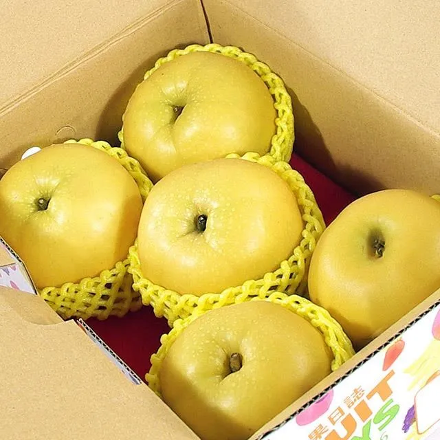 【鮮果日誌】王牌健康禮盒(智利富士蘋果6入+巨峰葡萄2.5台斤) 歷史價格詳細信息