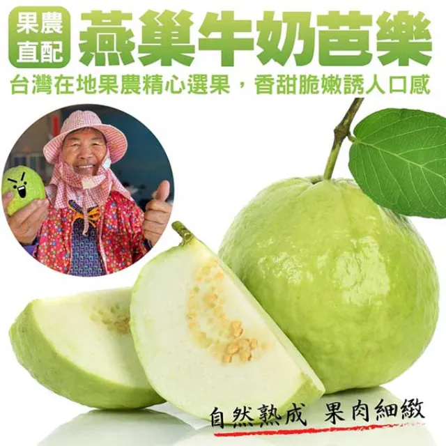 【小農直配】燕巢牛奶珍珠芭樂(10斤±10%) 歷史價格詳細信息