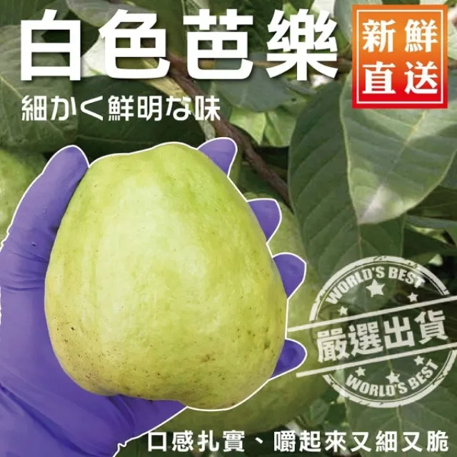 【WANG 蔬果】燕巢區牛奶蜜棗5斤x2箱(30-40顆/箱) 歷史價格詳細信息