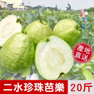 濁水溪畔二二八：口述歷史訪談錄（精裝） 歷史價格詳細信息