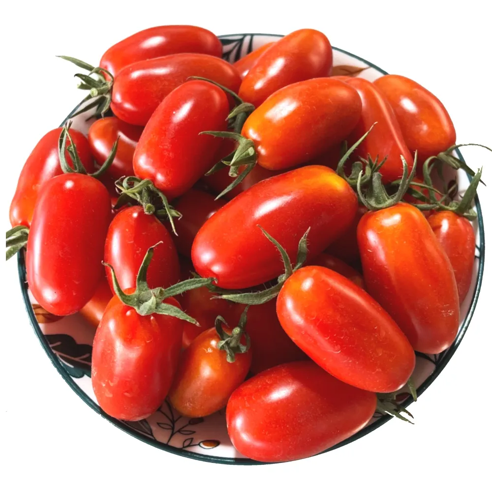 小田 長纖維清潔布 XT7338STM02 (兩盒) 歷史價格詳細信息