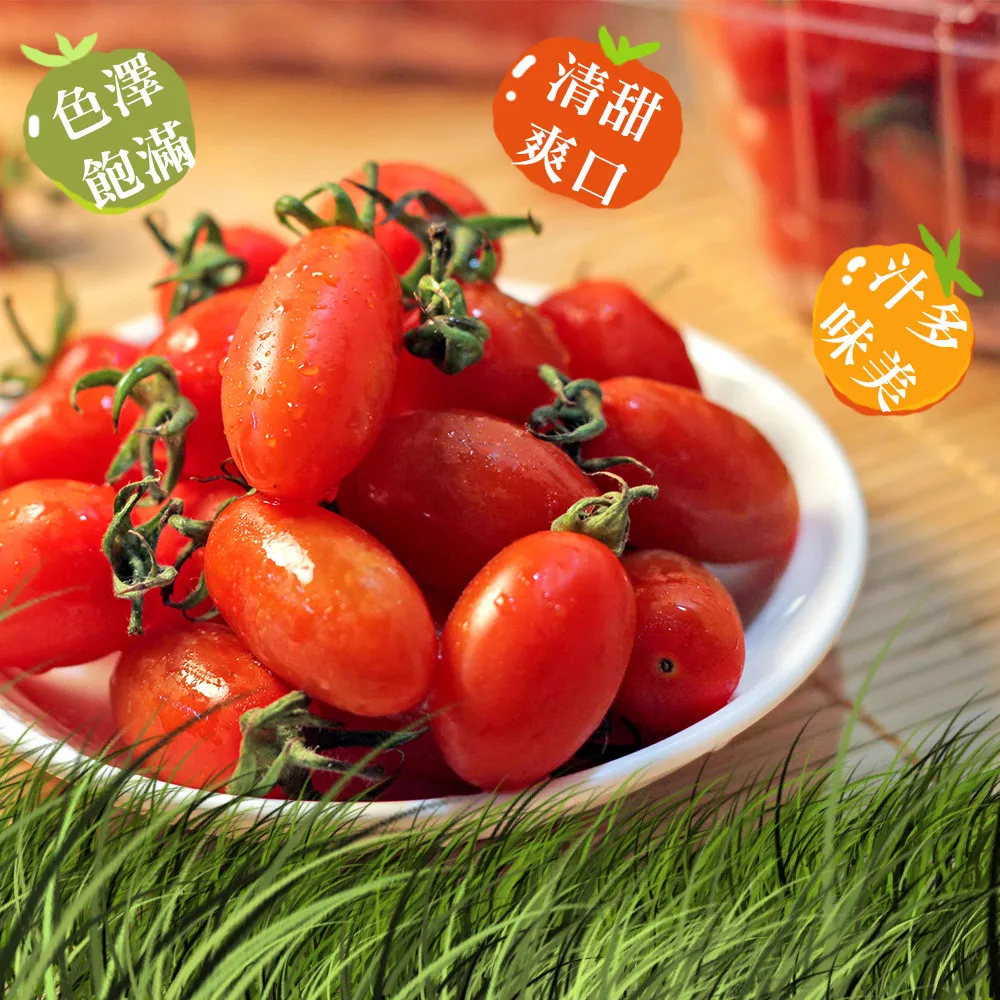 【鮮果日誌】清涼健康禮盒組(東勢台灣梨5入+巨峰葡萄2.5台斤) 歷史價格詳細信息