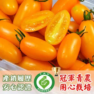 有邑回收站 二手 哈利波特 - 神秘的魔法石 歷史價格詳細信息