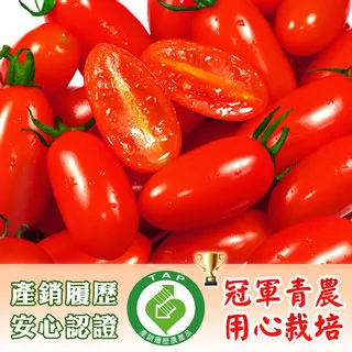 有邑回收站 二手 哈利波特 - 神秘的魔法石 歷史價格詳細信息