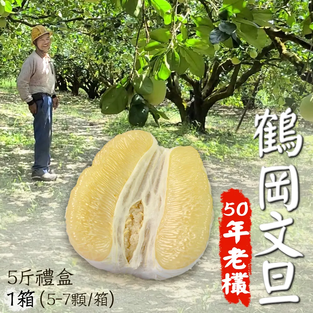 【優選】岡本磨床用東京計器DG4M4-36C-24DC-20-JA小型電磁閥DG4M4系列 歷史價格詳細信息