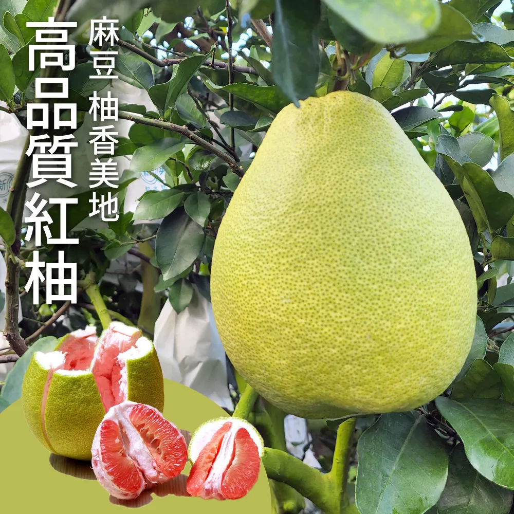 【十翼饌選果】豐耀農場 滿天星百香果5台斤x1箱(網室栽種/草生栽培/產地直送) 歷史價格詳細信息